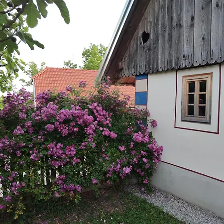 Stalca Casa de Férias
